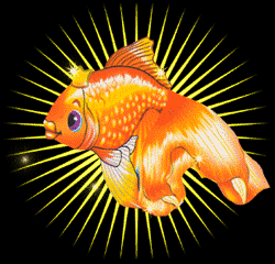 http://www.predskazanie.ru/goldfish/ribka/ribka.gif