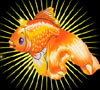Гадание - Золотая рыбка