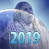    2019 