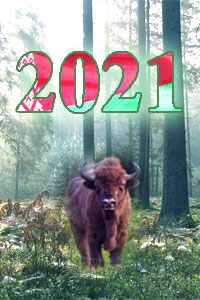 Предсказания о Беларуси на 2021 год