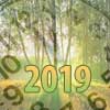     2019 