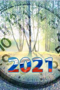     2021 