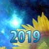     2019 