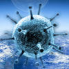 Когда мир избавится от коронавируса?