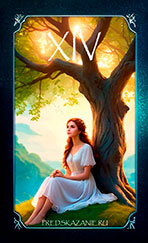 Аркан XIV. Умеренность