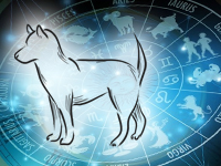 Восточный гороскоп на 2018 год. Год Земляной Собаки